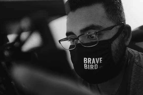Bravebird
